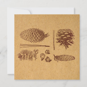 Carte De Correspondance Pinecone d'art Vintage
