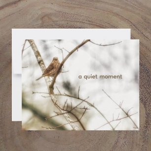 Carte De Correspondance Pinson domestique sur branches hivernales Photo de