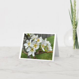 Carte de correspondance pliée