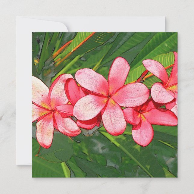 Carte De Correspondance Plumeria (Devant)
