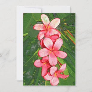 Carte De Correspondance Plumerias