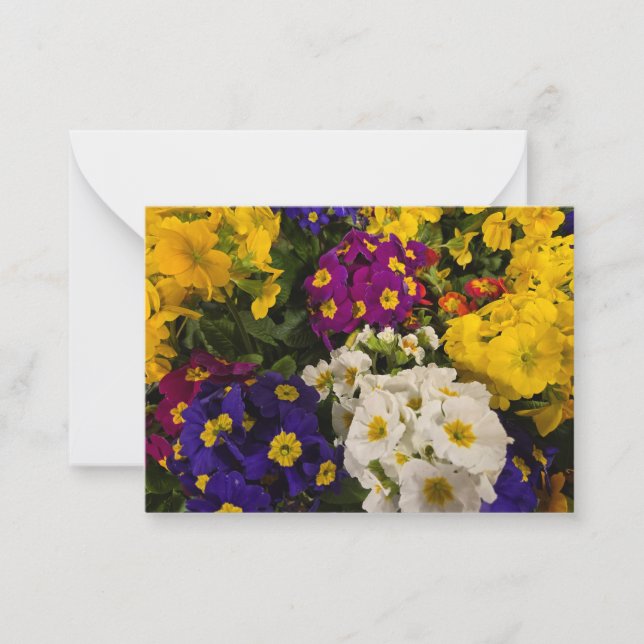 Carte De Correspondance Primrose (Devant)
