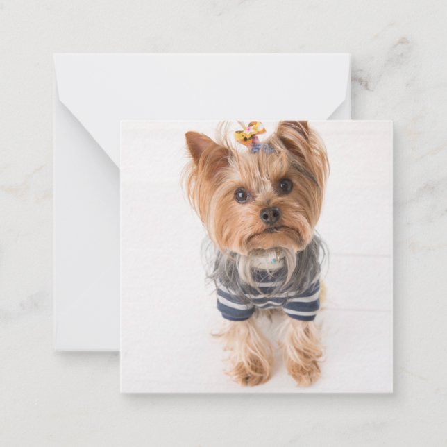Carte De Correspondance pull-over (Devant)
