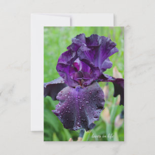 Carte De Correspondance Purple, Iris Humide
