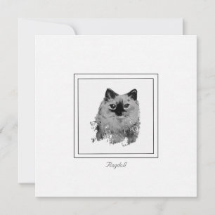 Carte De Correspondance Ragdoll Chat noir et blanc dessin