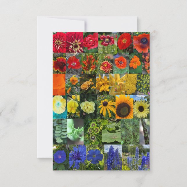 Carte De Correspondance Rainbow of Flowers  (Devant)