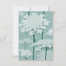 Reine Annes Lace