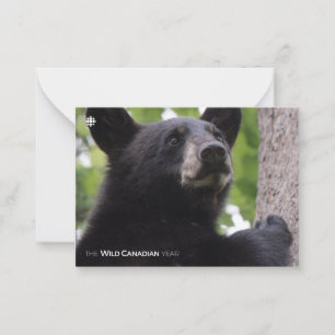 Carte De Correspondance Ressort - Ours noir