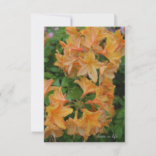 Carte De Correspondance Rhododendron jaune
