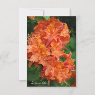 Carte De Correspondance Rhododendron orange