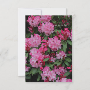 Carte De Correspondance Rhododendron rose