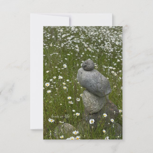 Carte De Correspondance Rochers et marguerites (Devant)