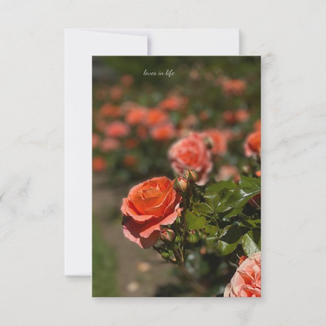 Carte De Correspondance Rose couleur saumon (Devant)