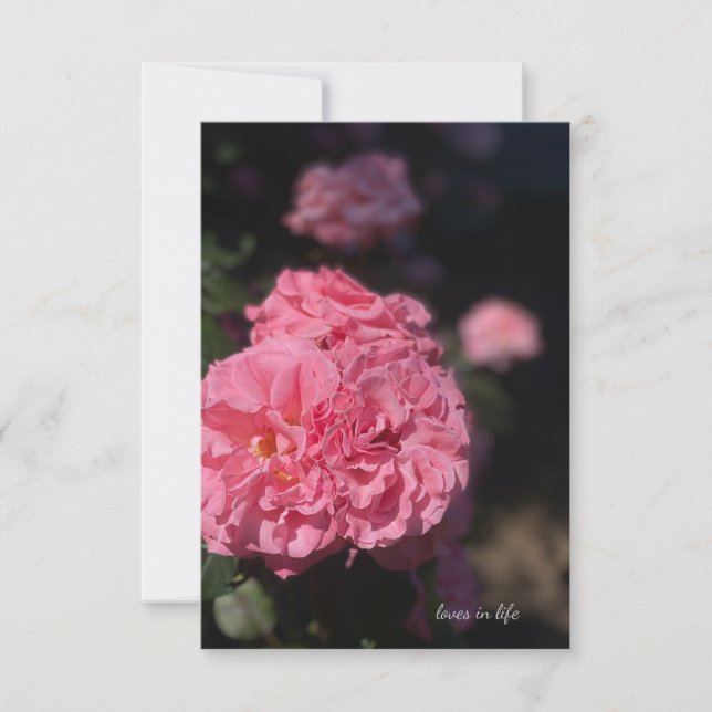 Carte De Correspondance Rose rose complète (Devant)