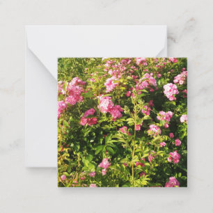 Carte De Correspondance Roses roses florissantes