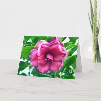 Carte de correspondance stationnaire Camellia