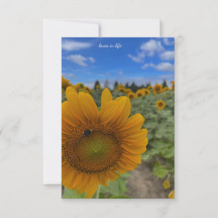 Carte De Correspondance Sunflower, Bee & Blues Skies