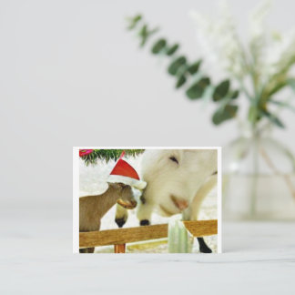 Carte De Correspondance The goats of Christmas past Card