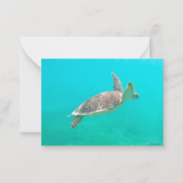 Carte De Correspondance Tortue des Caraïbes (Devant)