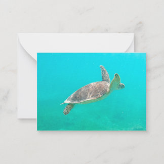 Carte De Correspondance Tortue des Caraïbes