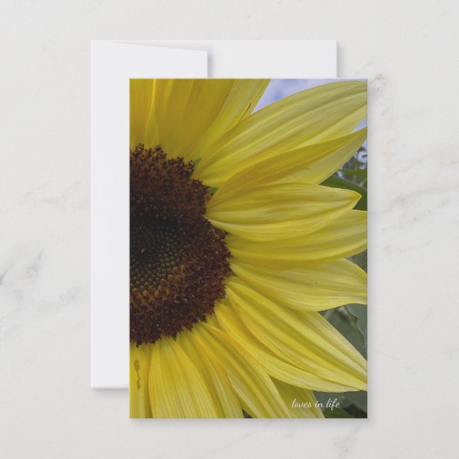 Carte De Correspondance Tournesol jaune clair (Devant)