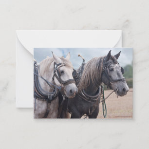 Carte De Correspondance Une équipe de Percheron