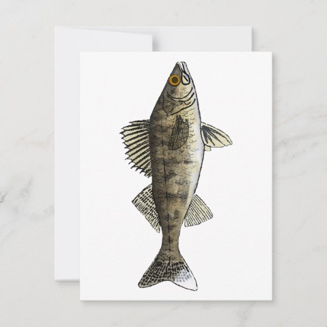 Carte De Correspondance Walleye (Devant)