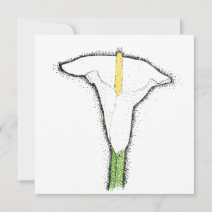 Carte De Correspondance Zantedeschia