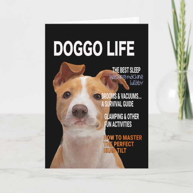 Carte de couverture du magazine Pitbull Parody (Devant)