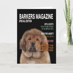 Carte de couverture du magazine Tibétain Mastiff P