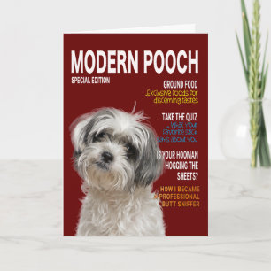 Carte de couverture Shih Tzu Parody Magazine