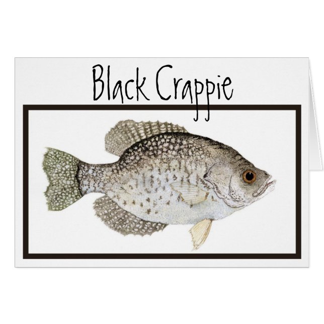 Carte de crapet noir (Devant horizontal)