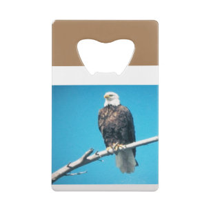 Carte de crédit Eagle Stainless Steel Bottle Opene