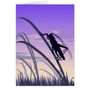 Carte de cricket solitaire