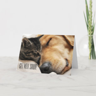 Carte de Cute Get Well