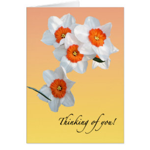 Carte de Daffodil Flowers Floral de professeur