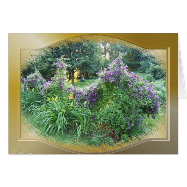 Carte de ~ de clématite de Swagged (Devant horizontal)