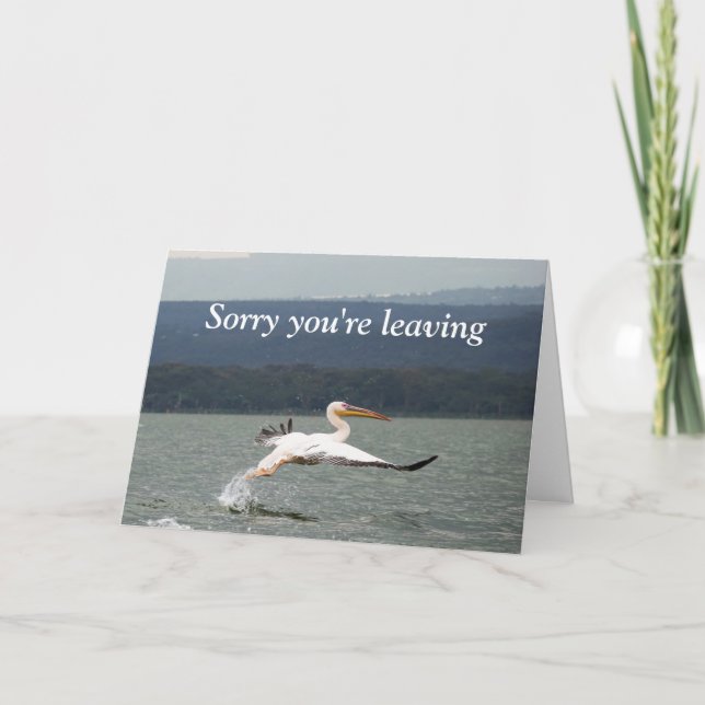 Carte de départ d'oiseau volant (Devant)