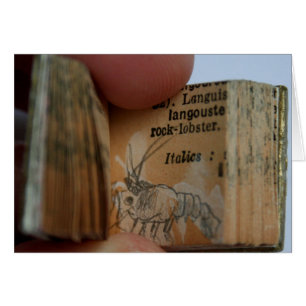 Carte de dessin DicofrAngle livre miniature écrevi
