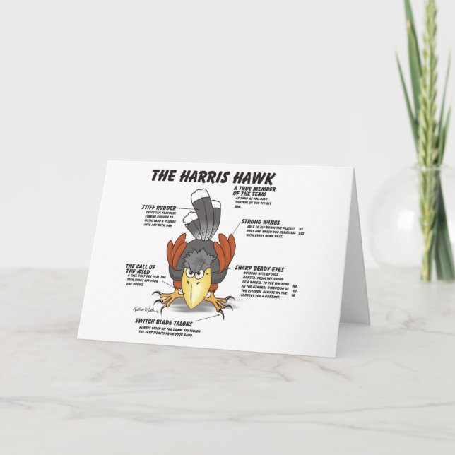 Carte de dessin Harris Hawk (Devant)