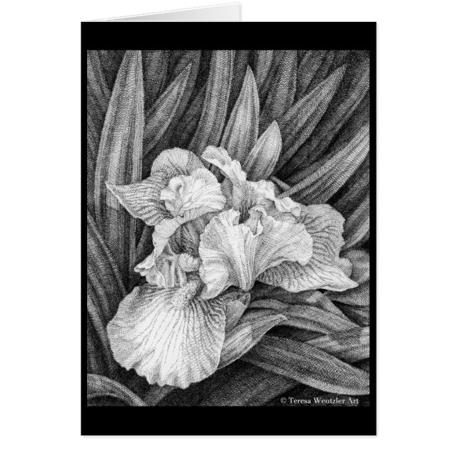 Carte de dessin Stylo Iris et Encre (Devant)