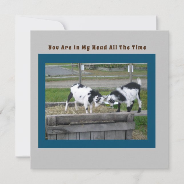 Carte de détection de chèvre (Devant)