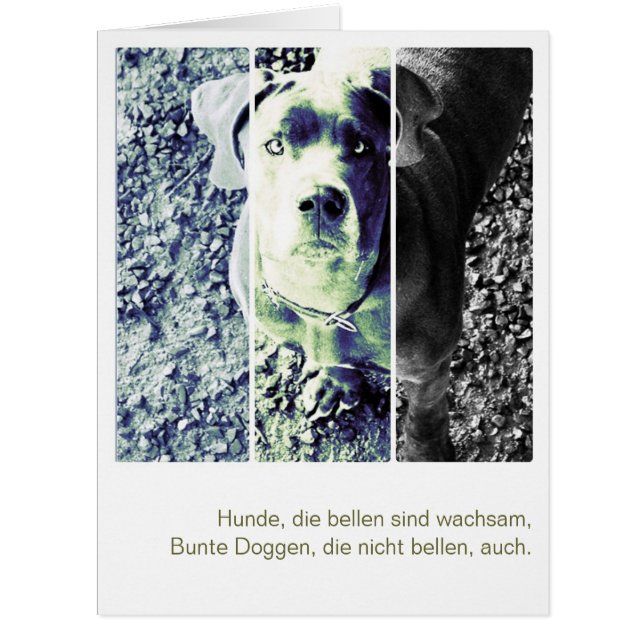 Carte de Dogue Monster (Devant)