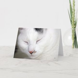 Carte De façon précieuse 2, obtiennent bien bientôt