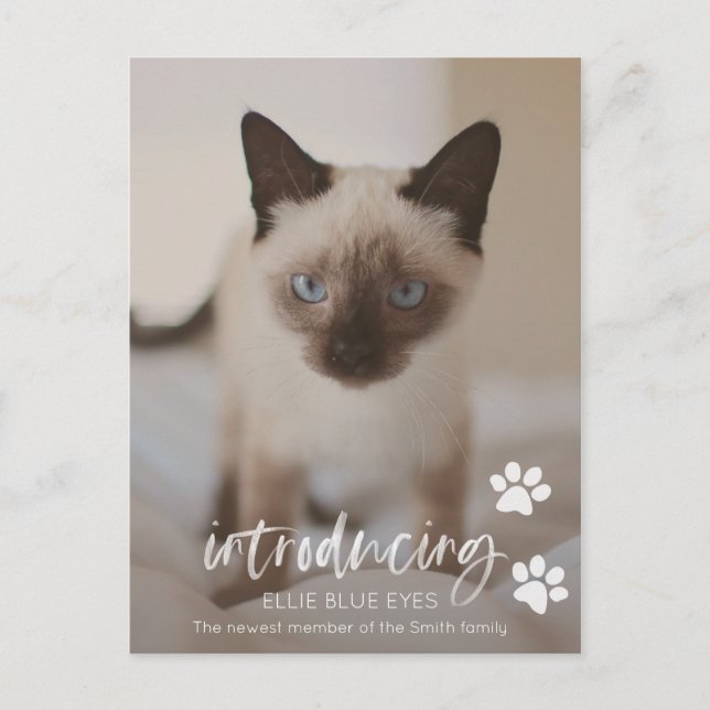 Carte de Faire-part de chat ou de chat (Devant)