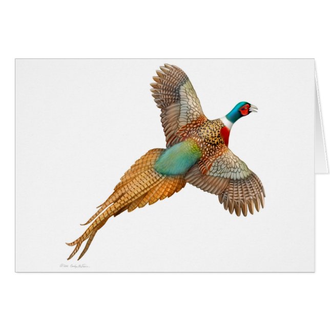 Carte de faisan de Ringneck de vol (Devant horizontal)