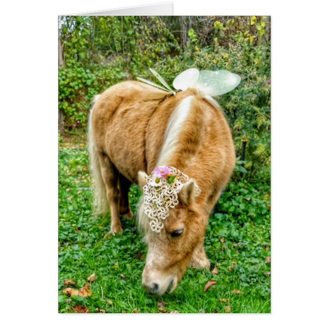 carte de fée de cheval miniature (Devant)