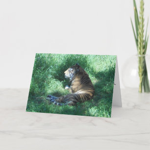 Carte de félicitations "Amur Tiger"