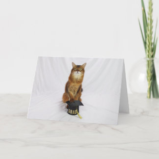 Carte de félicitations avec un chat somalien porta