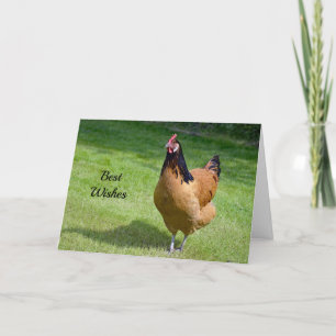 Carte de félicitations de mariage Poulet 3